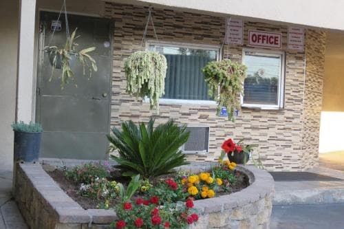 Foxys Den Motel 9