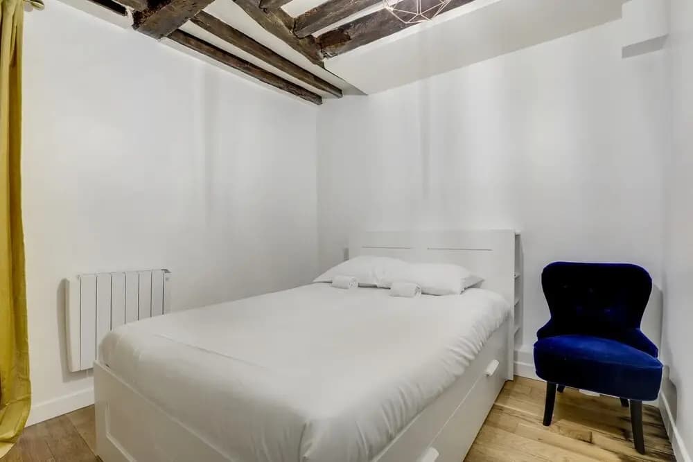 Magnificent Apartment Near Republique 1