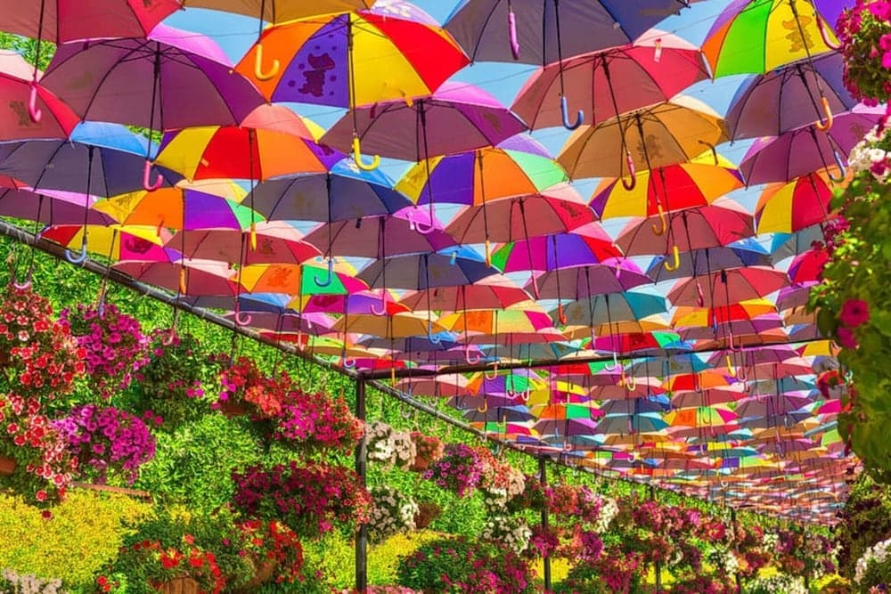 Miracle Garden View Amazing Amenities Free Parking 4921 3
