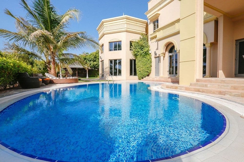 Kennedy Towers - Signature Frond L 13