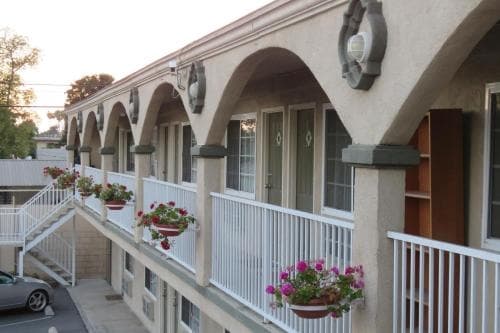 Foxys Den Motel 8