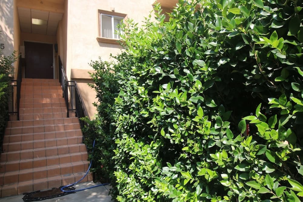 Gorgeous 2BD Apartment 17