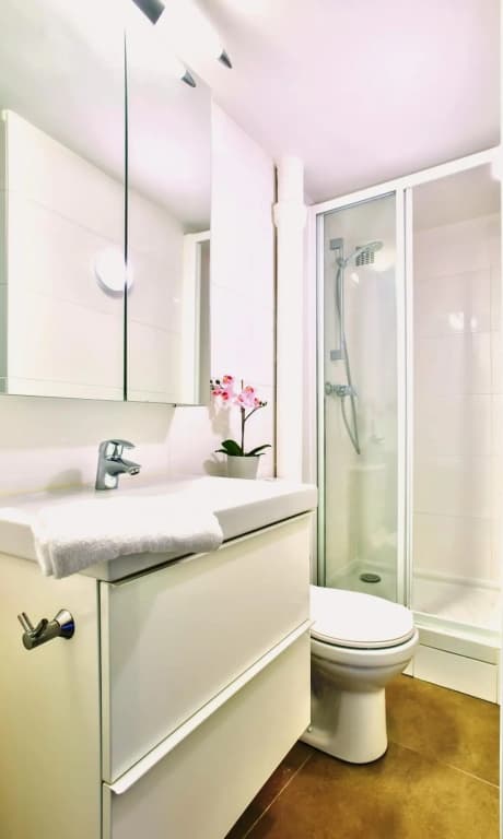B 841  - Saint Germain des Près - Spacieux appartement 1
