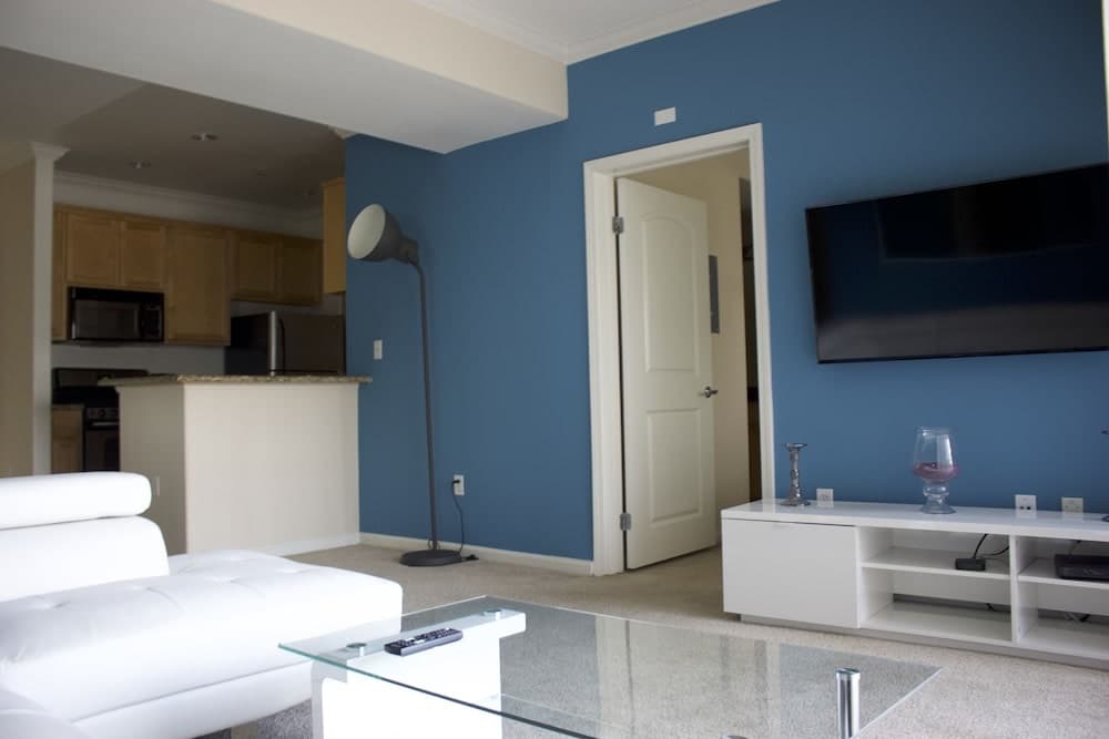amazing apartments 17