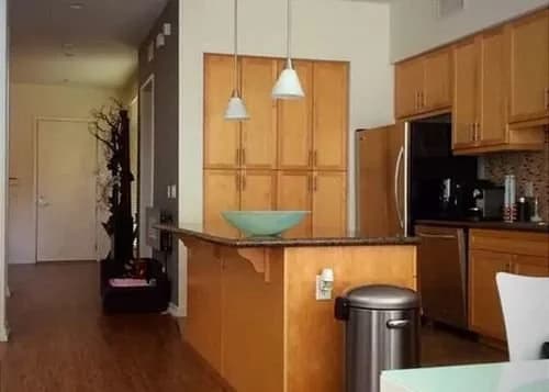 MDR Loft 1 Br condo by RedAwning 5