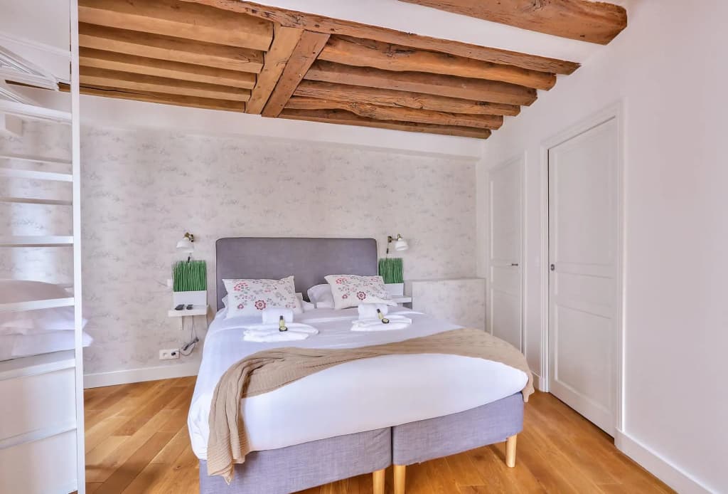 B 364 - Deluxe apartment in the heart of  Notre Dame 1