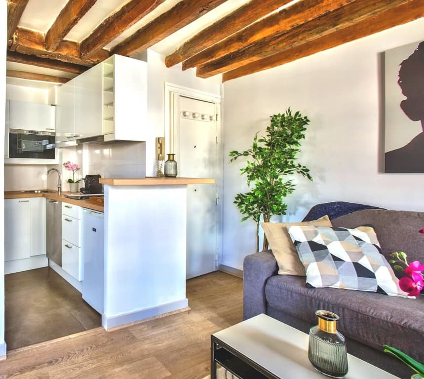 B 841  - Saint Germain des Près - Spacieux appartement 5