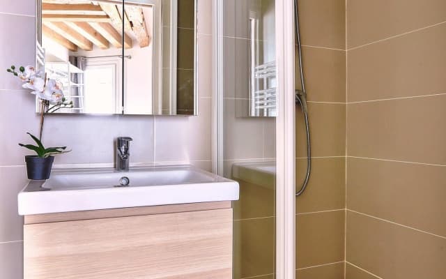 B  363- Magnifique appartement au coeur de Saint michel